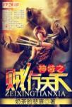 神域之贼行天下封面
