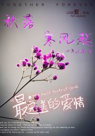 秋落寒风起封面