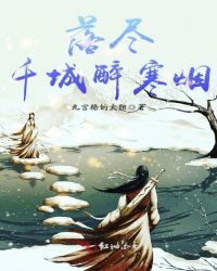 落尽千城醉寒烟封面