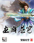 龙舞苍穹封面