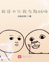 我哥不让我当海贼呀封面