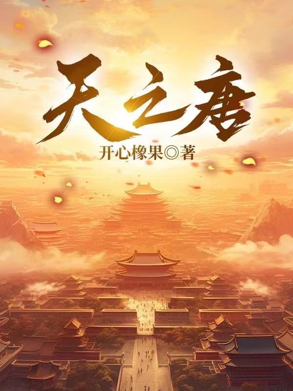 天之唐封面