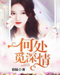 何处觅深情封面