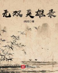 无双英雄录封面