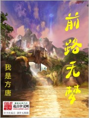 前路无梦封面