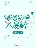 绿酒初尝人易醉封面