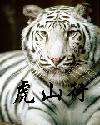 虎山行封面