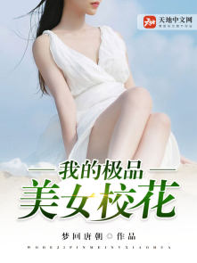 我的极品美女校花封面