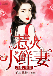 惹火小鲜妻：总裁，别闹！封面