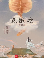 点银烛封面