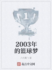 2003年的篮球梦封面