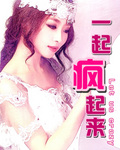 一起疯起来封面