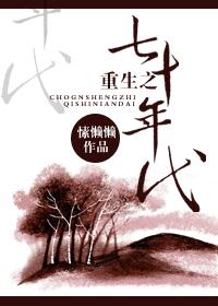 重生之七十年代封面
