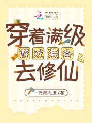 穿着满级游戏装备去修仙封面