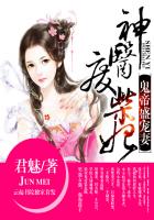 鬼帝盛宠妻：神医废柴妃封面