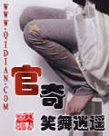 官奇封面