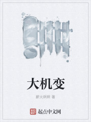 大机变封面