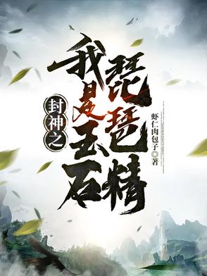 封神之我是玉石琵琶精封面