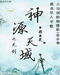 神源天域之天剑封面