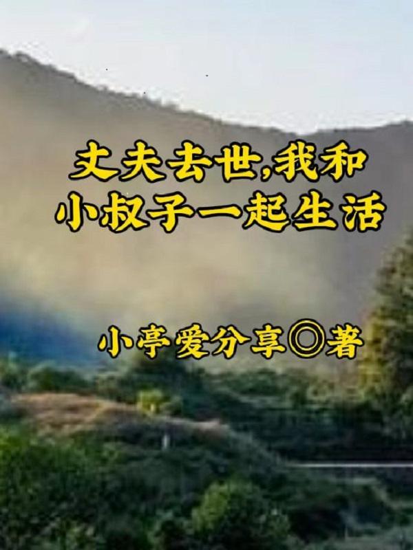 丈夫去世，我和小叔子一起生活封面