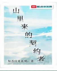 山里来的契约者封面