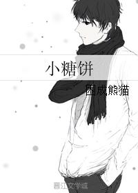 小糖饼封面