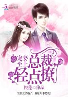 宠妻至上：总裁，轻点撩封面