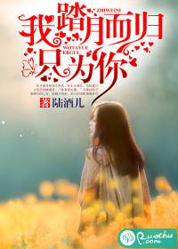 我踏月而归,只为你封面