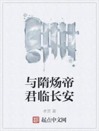 与隋炀帝君临长安封面