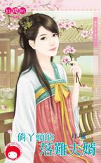 俏丫头的落难夫婿封面