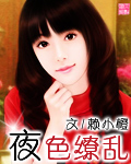 夜色缭乱封面