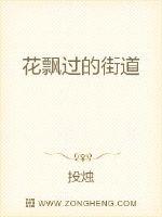 风吹过他的温柔封面