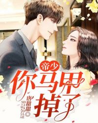 帝少,你马甲掉了封面