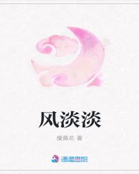 风淡淡封面