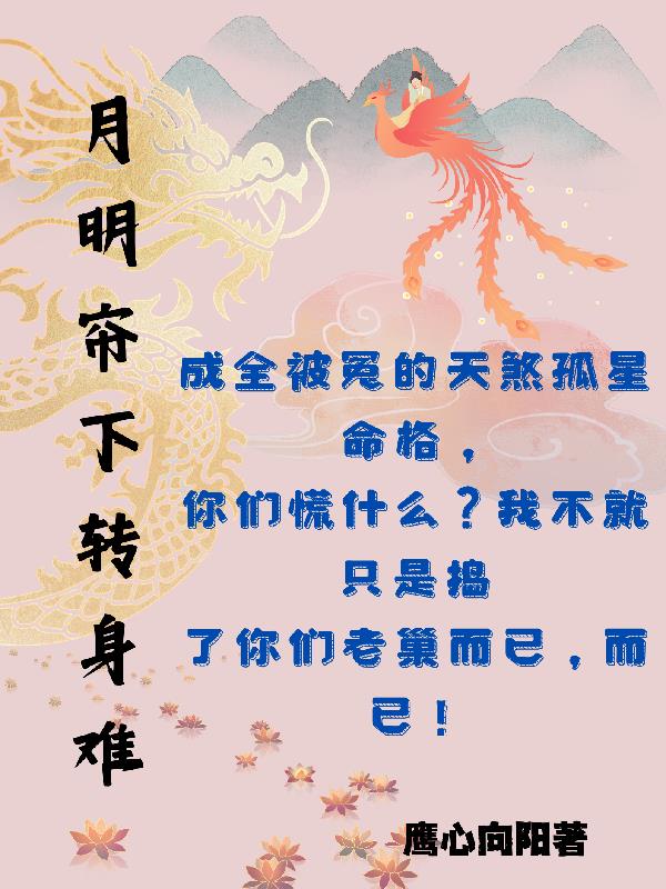 月明帘下转身难封面