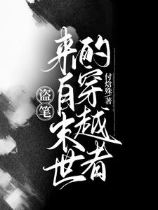 盗笔：来自末世的穿越者封面