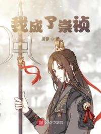 我成了崇祯封面