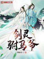 剑灵驸马爷封面