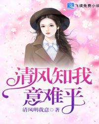 清风知我意难平封面