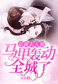 总裁夫人她马甲轰动全城了封面