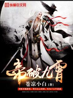 帝破九霄封面