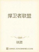 捍卫者联盟封面