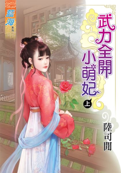 武力全开小萌妃 上封面