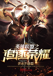 英雄联盟之追逐荣耀封面