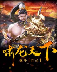 啸龙天下封面