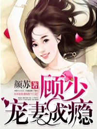 顾少宠妻成瘾封面