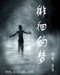 徘徊的梦封面