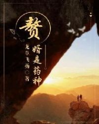 赘婿是药神封面