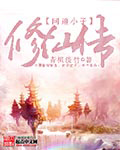 问道小子修仙记封面