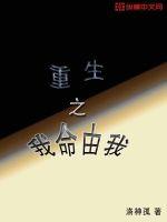 重生之我命由我封面